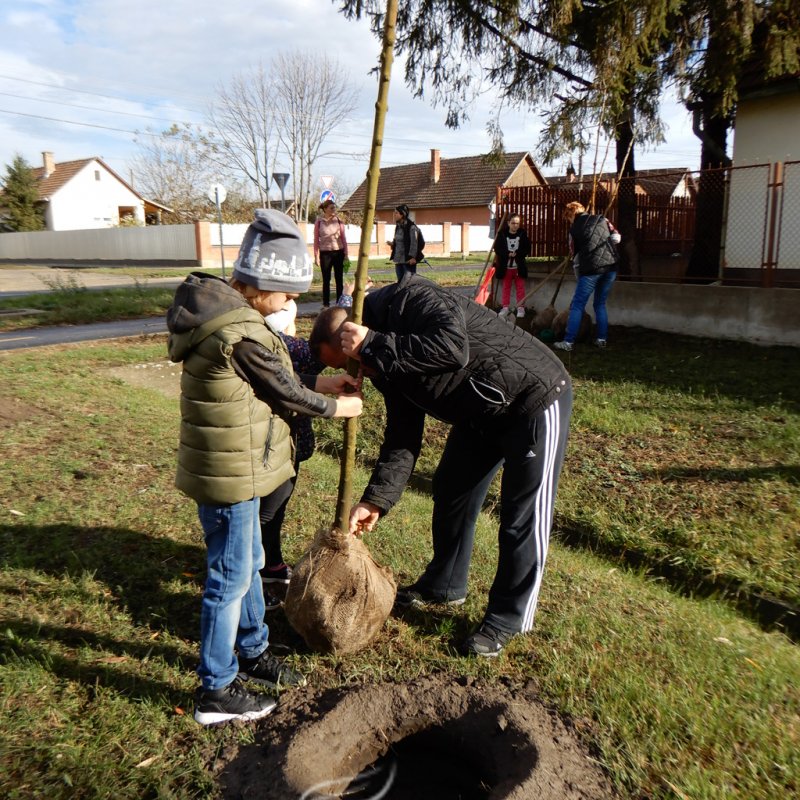 Közösségi faültetés Berettyóújfaluban 03